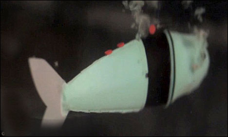 American students would swim in the water, water-proof robot fish has developed